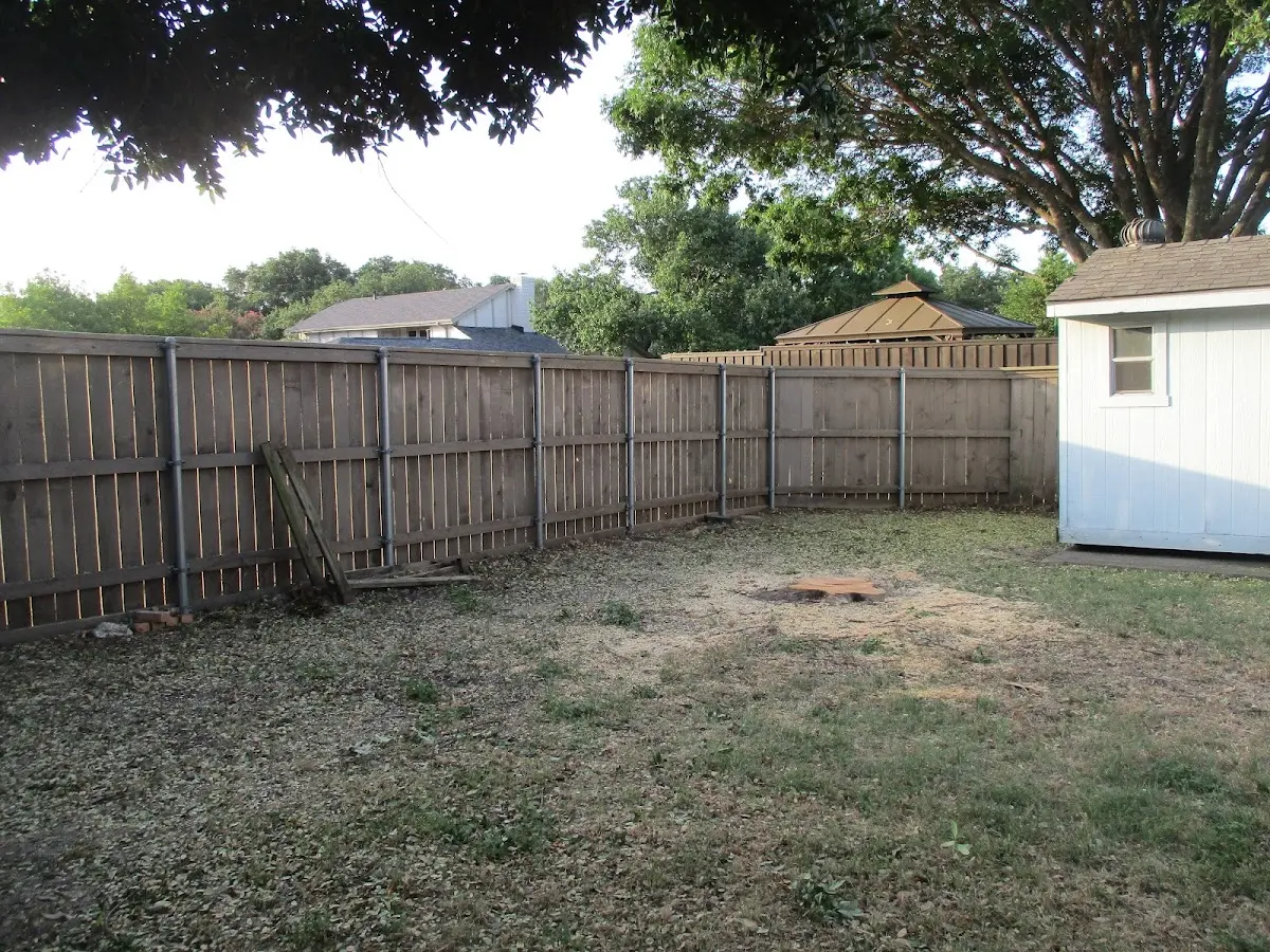 Cleared yard after professional tree removal in New Derry