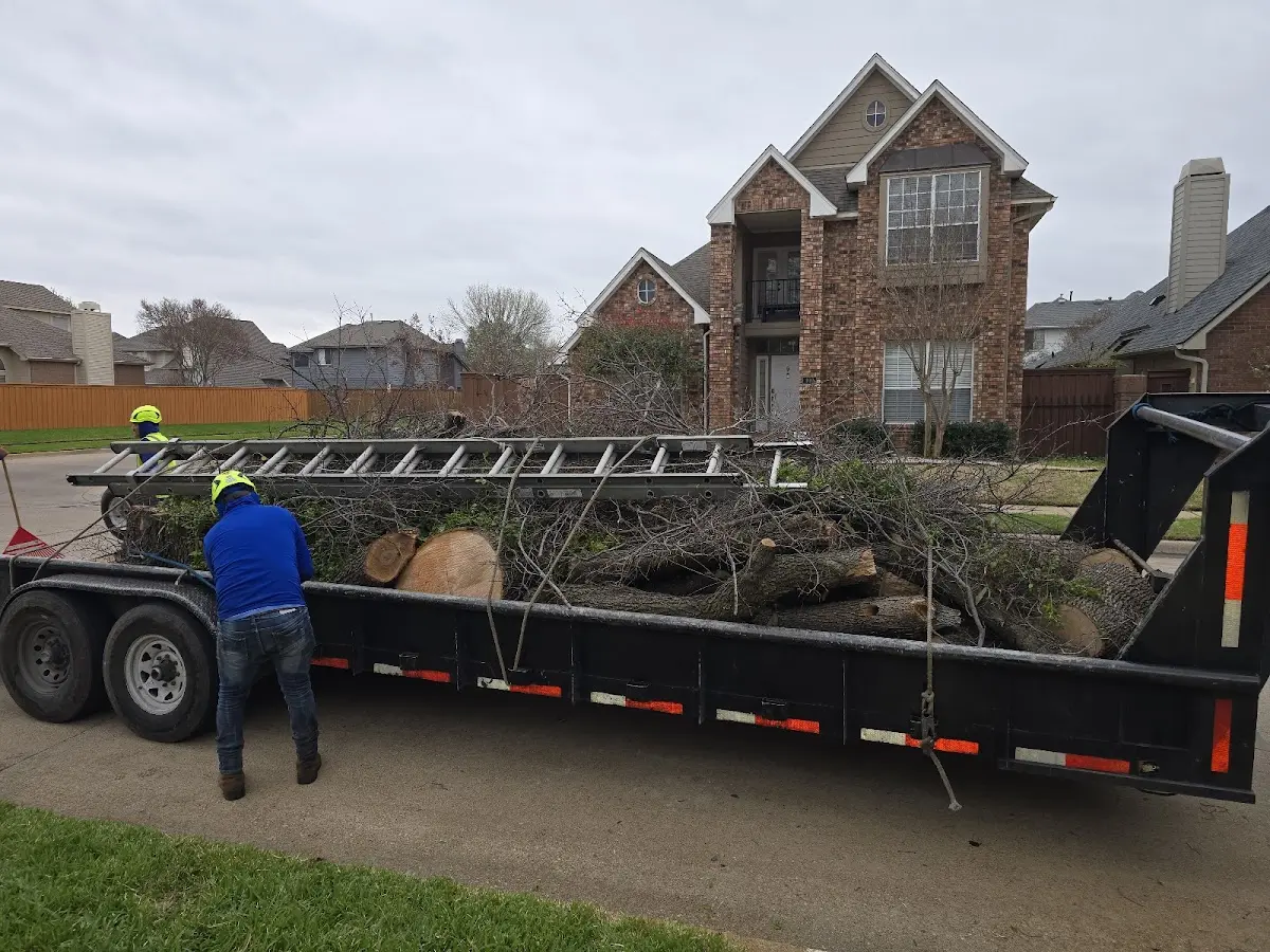 Expert Tree Removal with proper safety equipment in New Derry